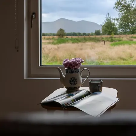 Lodge Glamping - Ross Road Cill Airne